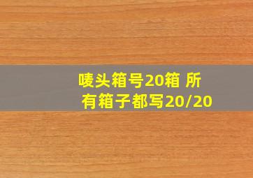 唛头箱号20箱 所有箱子都写20/20